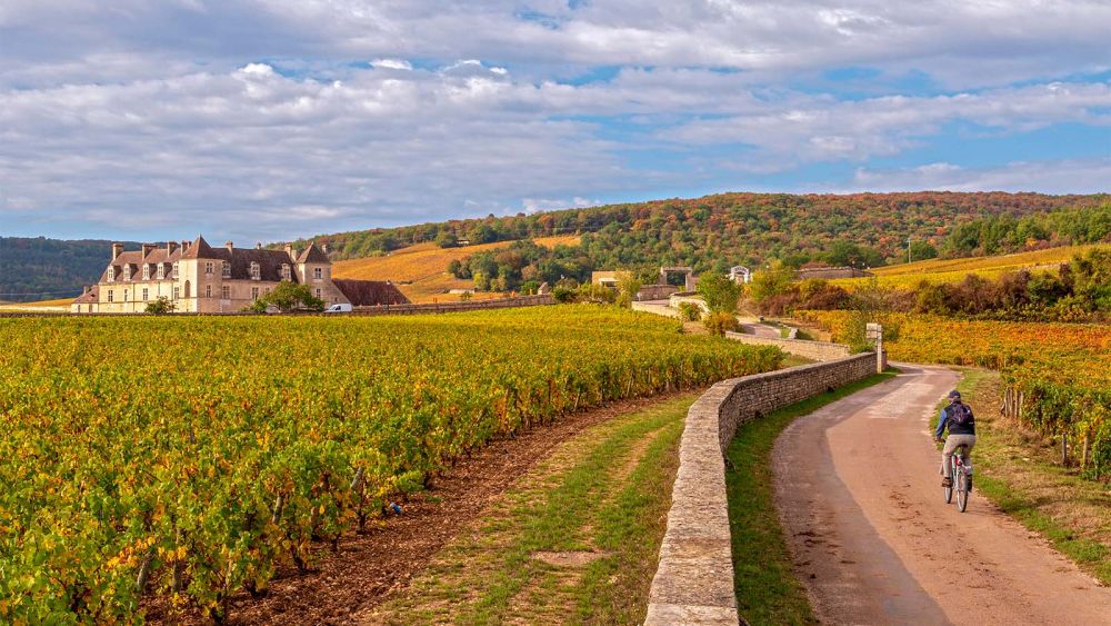 Quelle période pour visiter la Bourgogne ?